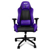 NZXT x Vertagear SL5000 Gaming Chair S Line